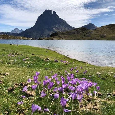 Bike Pyrenees