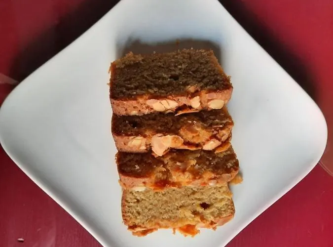 Bed & Breakfast Bike Pyrenees Louvie Juzon